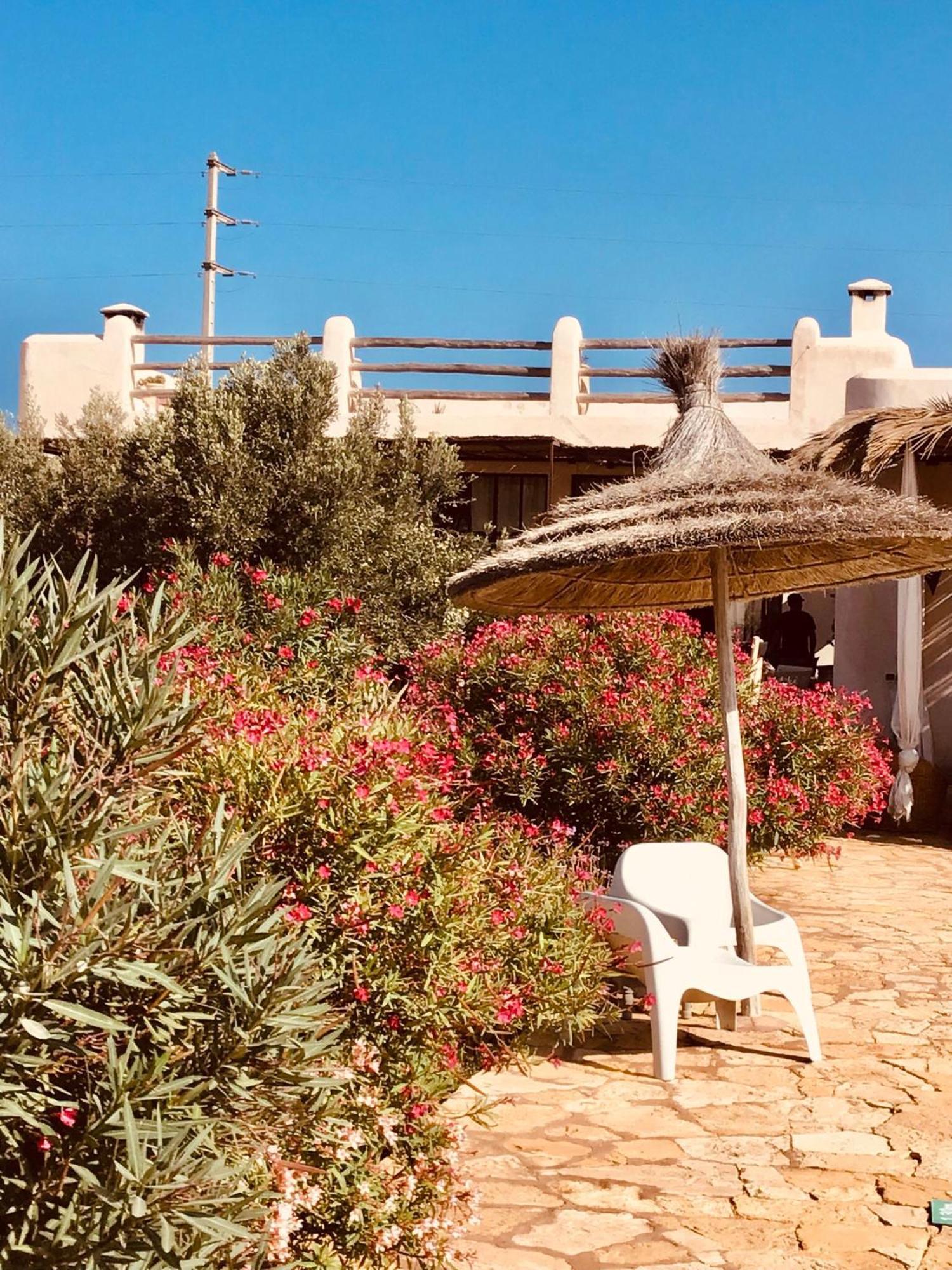 Dar Alya Essaouira Maison Et Table D'Hotes Al Ghar Eksteriør bilde