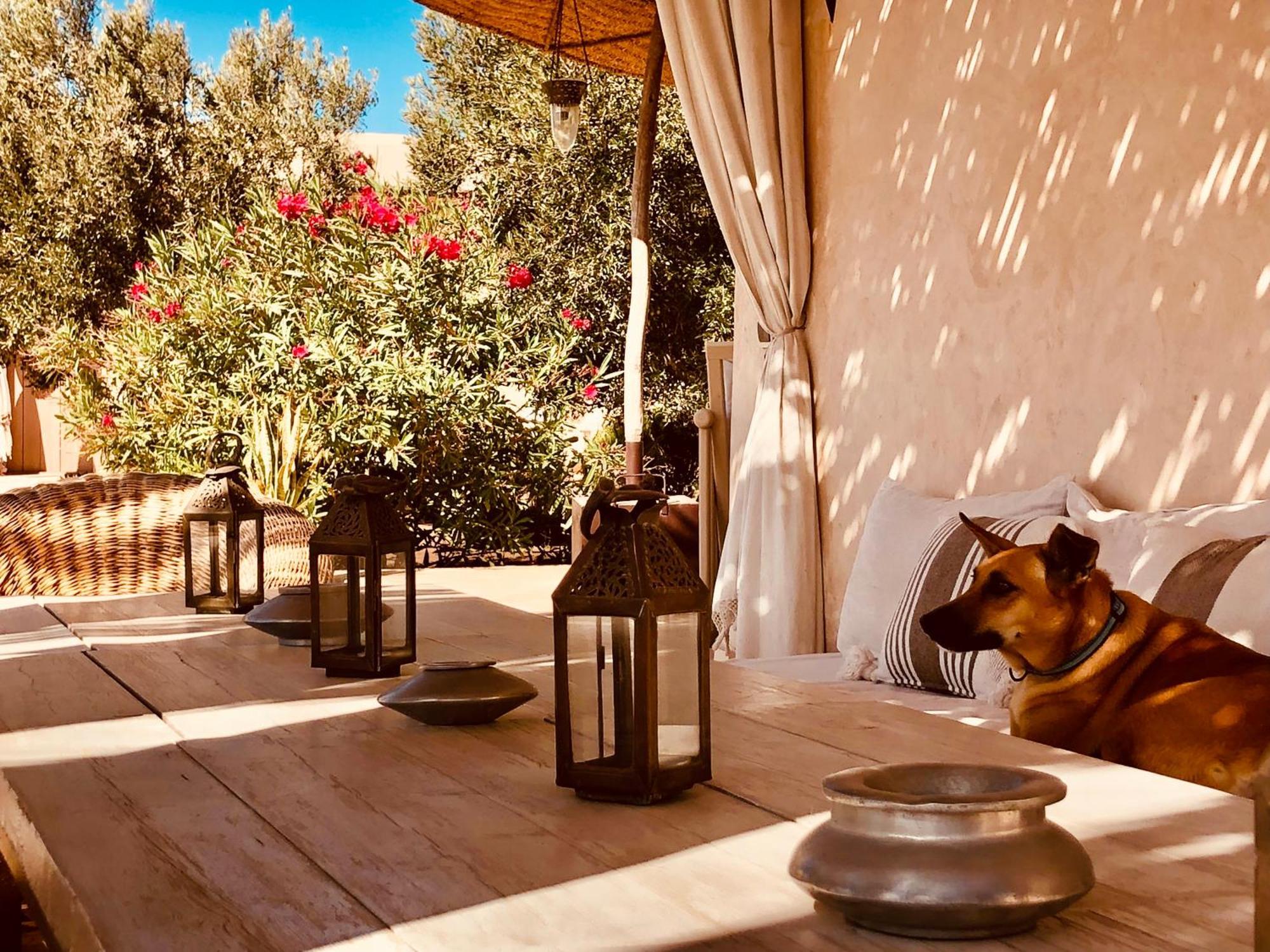 Dar Alya Essaouira Maison Et Table D'Hotes Al Ghar Eksteriør bilde