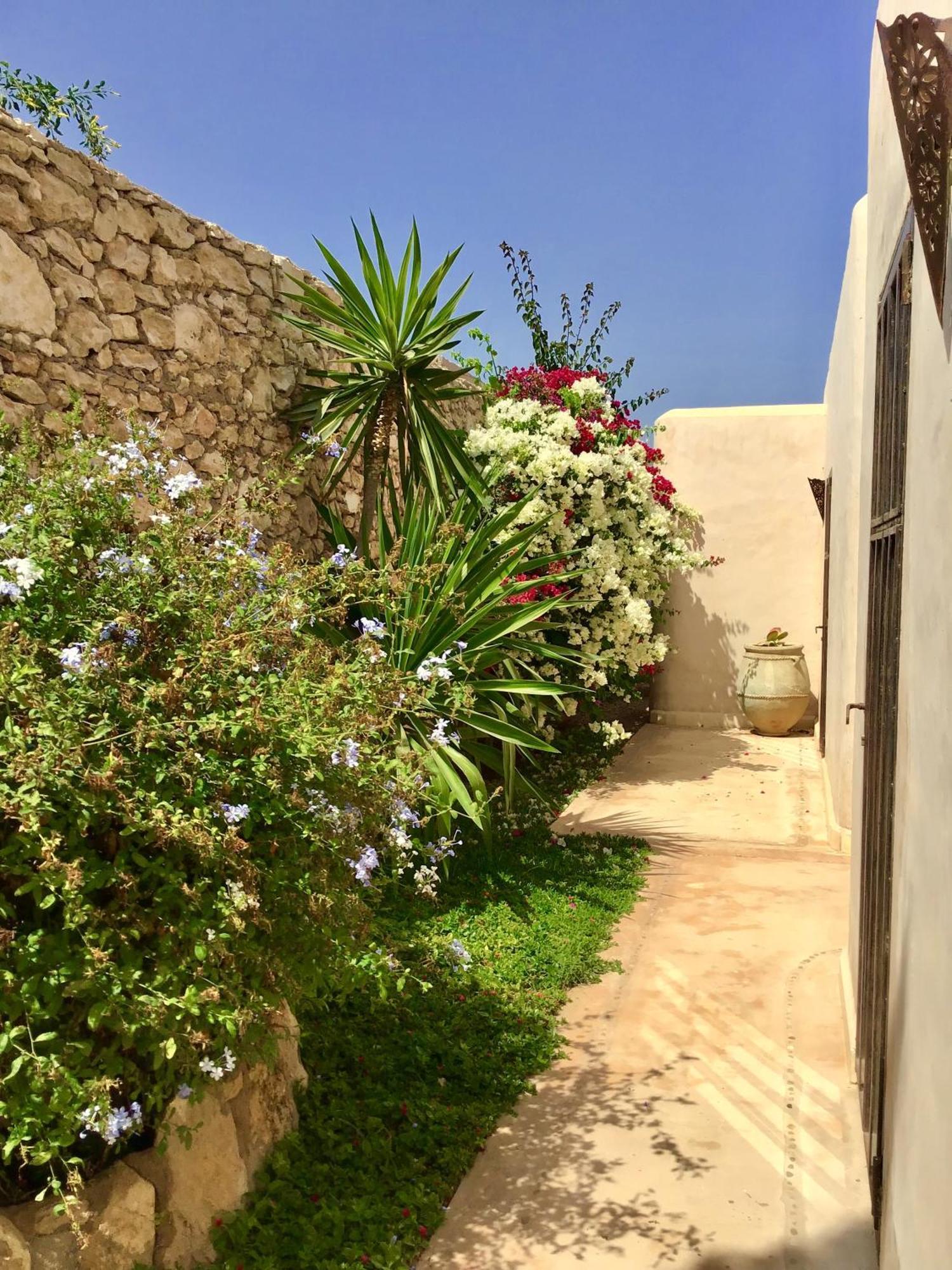 Dar Alya Essaouira Maison Et Table D'Hotes Al Ghar Eksteriør bilde